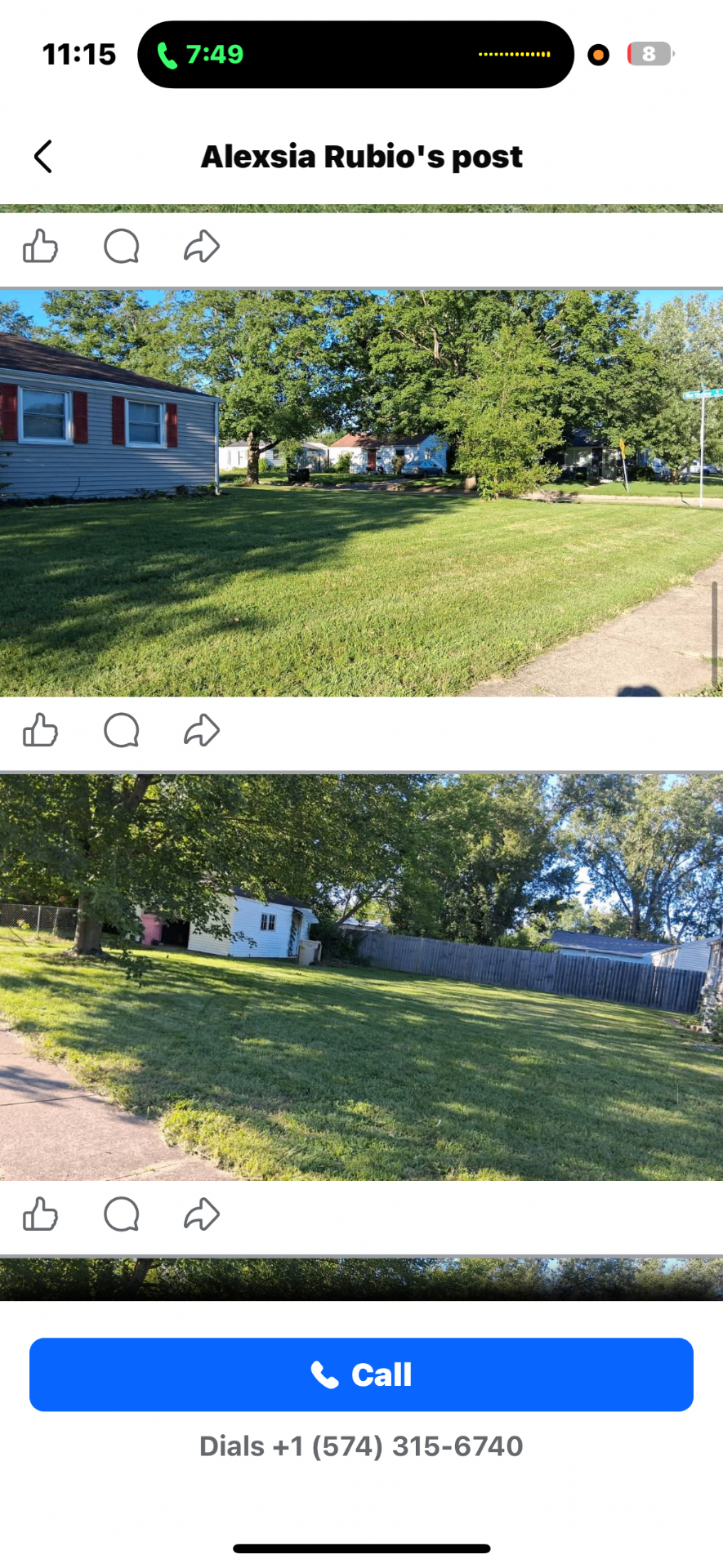 Lawn overhaul after