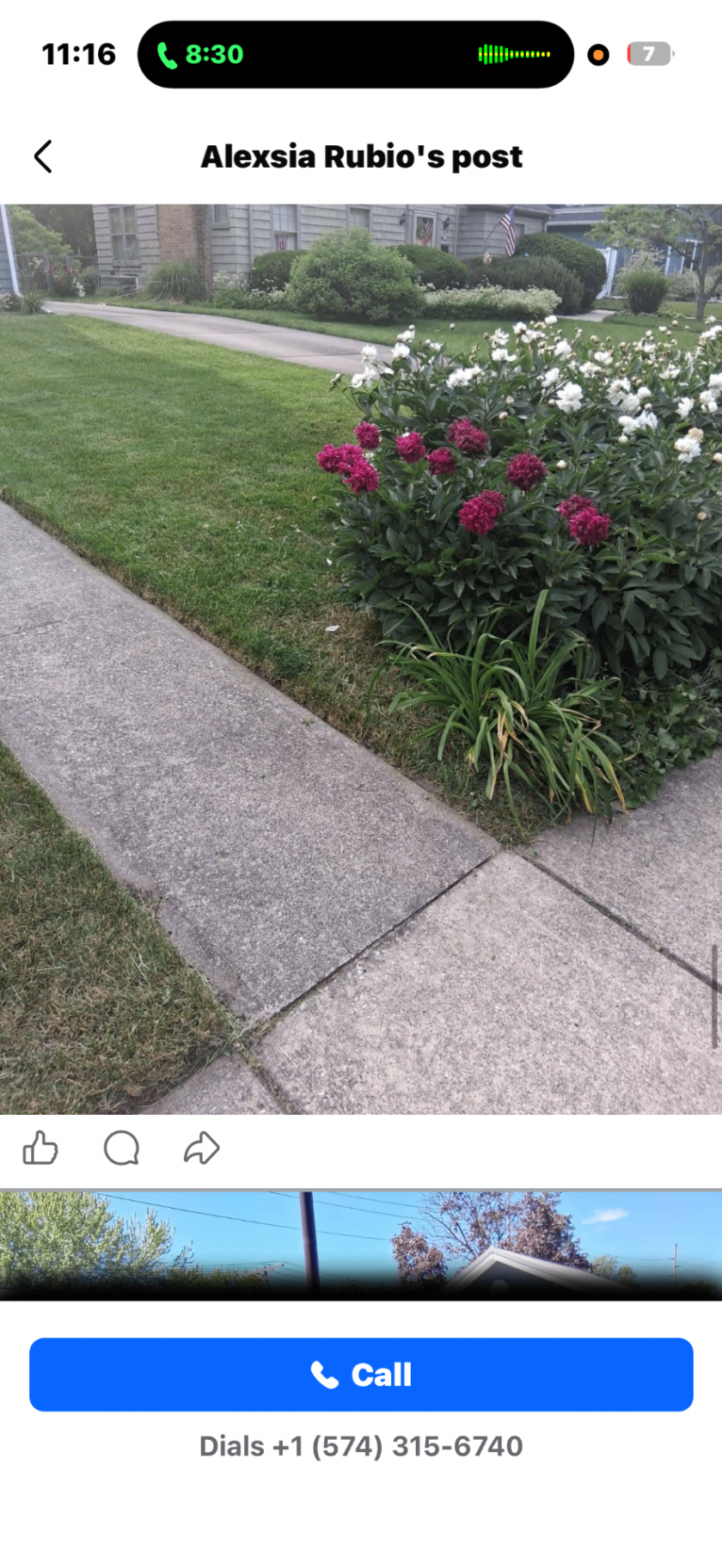 Edging and cleanup before