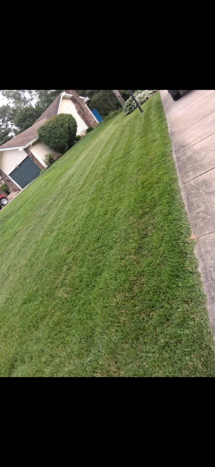Edging and cleanup after